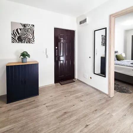 Roth 305 * Budapest