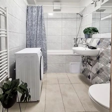 Apartment Roth 305